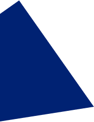 vector-img