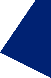 vector-img
