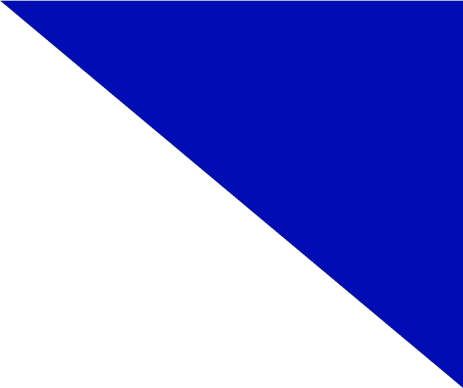 vector-img
